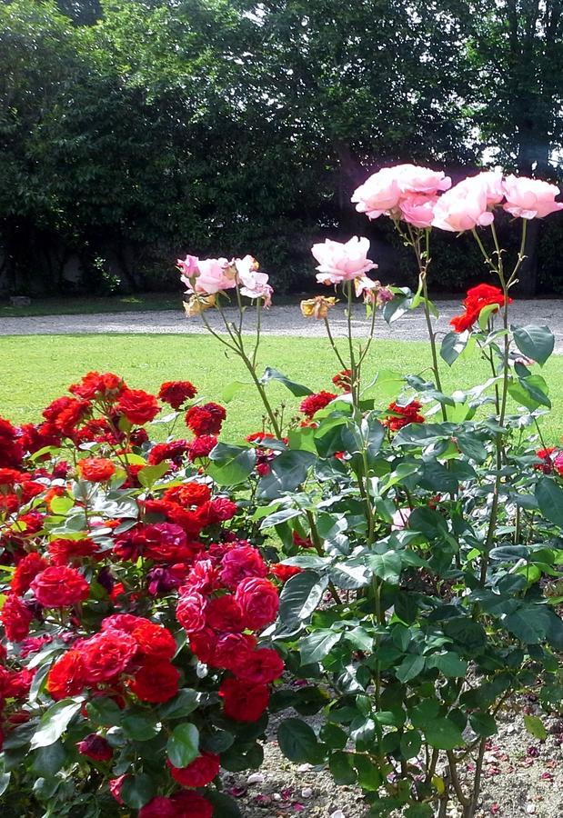 Le Logis De Ruelle Bed & Breakfast Dış mekan fotoğraf